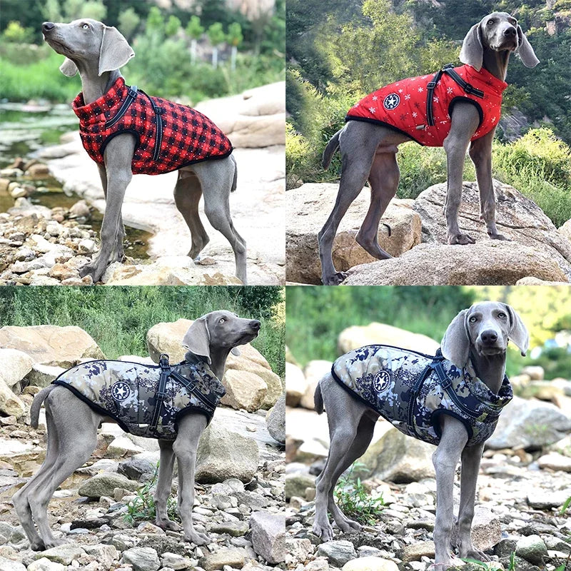 Ultimate Waterproof Winter Dog Jacket with Harness - Perfect for Labradors, Chihuahuas, and French Bulldogs!